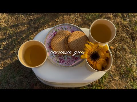 Видео: Осенние дни в Улан-Баторе