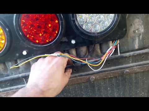 Видео: первые рейсы на новом коне