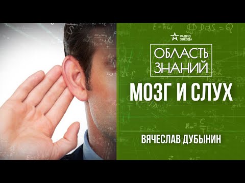 Видео: Как мы слышим звуки и почему некоторая музыка вызывает отвращение? Лекция Вячеслава Дубынина