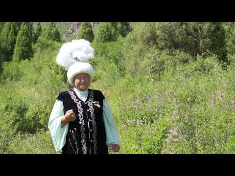 Видео: Бир сырым