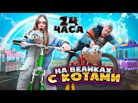 Видео: 24 ЧАСА НА ВЕЛОСИПЕДАХ С КОТОМ И СОБАКОЙ