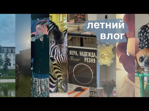 Видео: ВЛОГ || КОНЦЕРТ ДОРЫ И МАРТИНА, ЗООПАРК 🦍, АРИНА КУПИЛА ЩЕНКА🐶, ТЕАТР🎭, ПЛЯЖ..