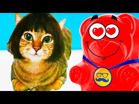 Видео: КУПИЛ ВАЛЕРКЕ КОТА !! МУРЛИН МУРЛО ДЛЯ МЕДВЕДЯ ВАЛЕРЫ !