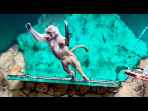 Видео: НЕВОЗМОЖНО СМЕШНО! Мы пытаемся поймать и одеть Люське подгузник)) 