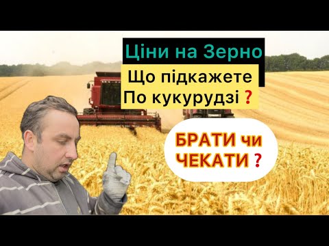 Видео: ЦІНИ на ЗЕРНО, що з КУКУРУДЗОЮ, ПігБіотик і годівля