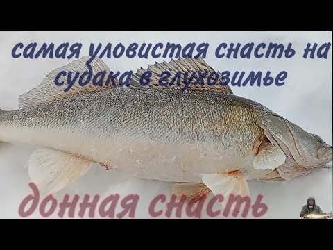 Видео: самая уловистая снасть;на судака в глухозимье;донки на  судака#судак#доннаяснасть#глухозимье