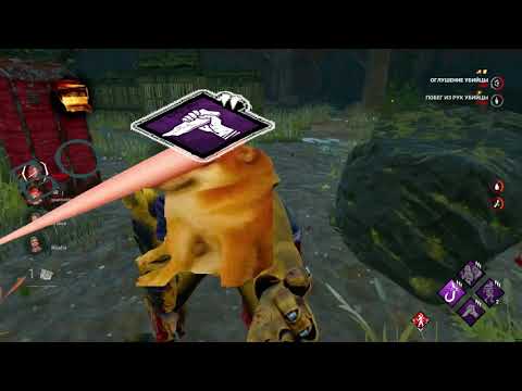 Видео: Для победы в DBD нужно пол мозга :brain: