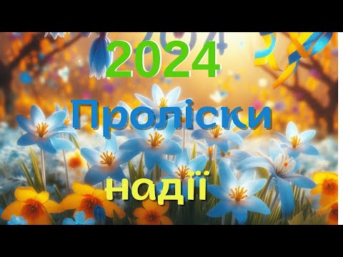 Видео: Проліски надії-2024