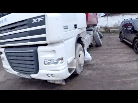 Видео: Что случилось с Дафом пока меня не было??Соскучился по работе