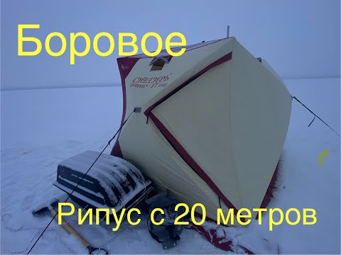 Видео: /Ночная ловля РИПУСА/Рыбалка с домашним комфортом/Рыбалка в заповедной зоне Бурабай/