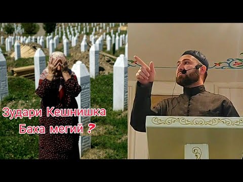 Видео: Хьехам Зударий Кешнишка баха меги.