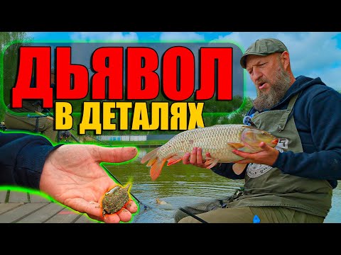 Видео: ВОТ ЭТО СНАСТЬ! ЛОВИТ КАРПА ВЕЗДЕ! ОСВАИВАЮ ФЛЭТ ФИДЕР!