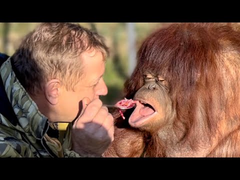 Видео: ВЫ ТОЛЬКО ПОСМОТРИТЕ! Как Олег Зубков с Даной  едят борщ!