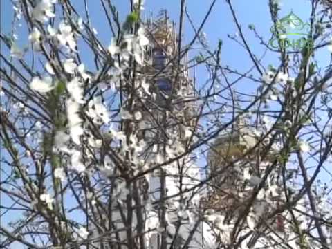 Видео: Свято-Дмитриевский монастырь в Чадыр-Лунге