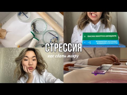 Видео: СтрЕССИЯ | экзамен по микробиологии в ОмГМУ | сессия 3 курса #студентмедик #сессия #микра