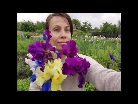 Видео: Цветы 2021