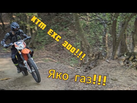 Видео: Първо каране в гората!!! 