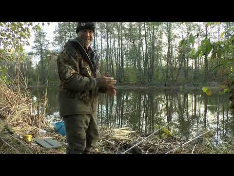 Видео:  Оз. САВУШКИНО, РЫБА СОШЛА С УМА, ПЕРВОЕ УТРО, Часть 1 