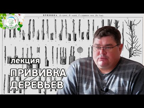 Видео: Все о прививках деревьев. Лучшие способы и правила прививки плодовых деревьев.