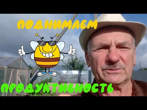 Видео: Центнер мёда от пчелосемьи