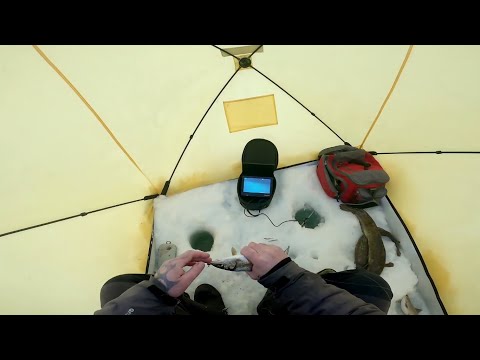 Видео: Рыбалка. Попытка номер  ни пять😉