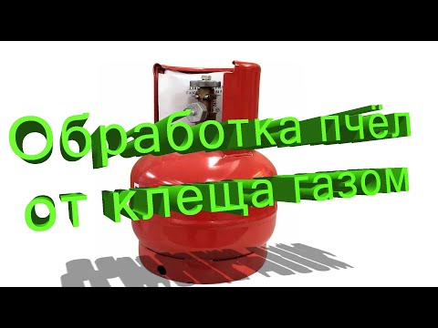 Видео: Профессор Кашковский про обработку пчёл от клеща газом