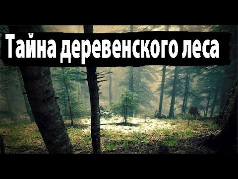 Видео: Ночью в лесу. Страшные. Мистические. Творческие истории. Хоррор