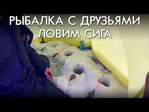 Видео: РЫБАЛКА С ДРУЗЬЯМИ / ЛОВИМ СИГА