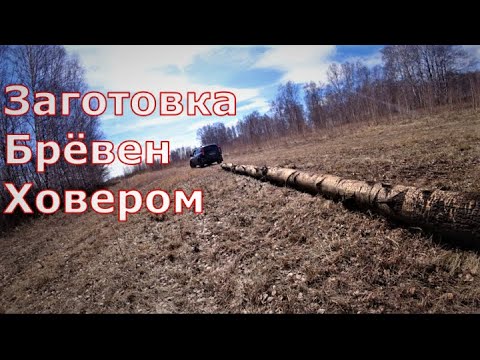 Видео: Заготовка брёвен для стройки