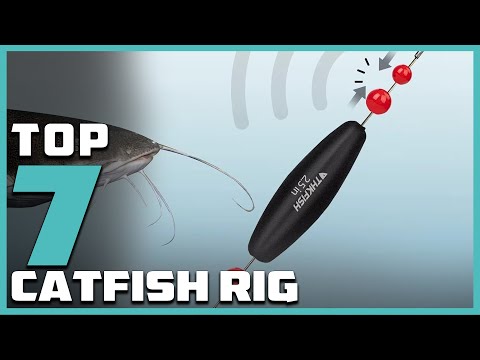 Видео: 7 основных снастей для ловли сома, которые должен знать каждый рыболов