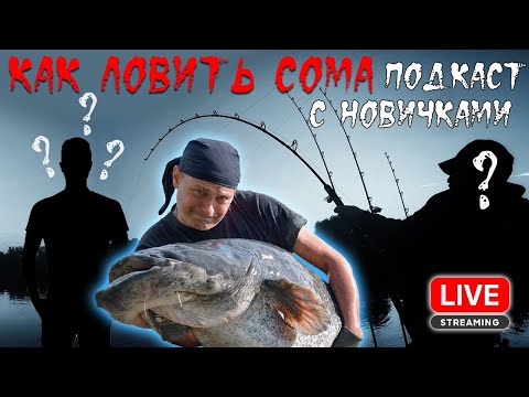 Видео: 🎙️ Подкаст: Рыбалка на сома для начинающих! Виталий Дальке проводит мастер-класс 🎣