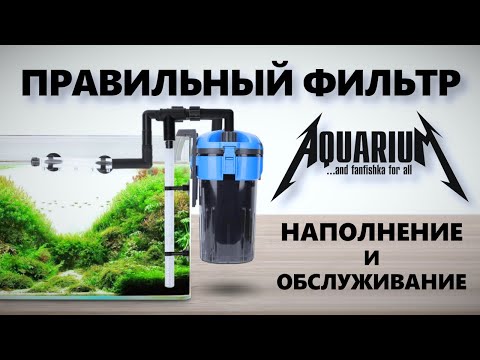 Видео: Правильный внешний фильтр для аквариума: наполнение и обслуживание