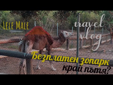 Видео: Спахме до частен зоопарк? | Влог Гърция, част 4