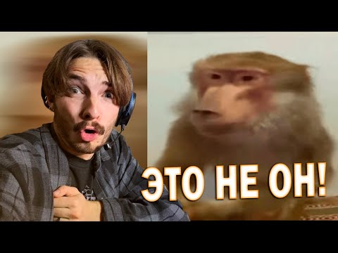 Видео: РЕАКЦИЯ Кишлак - Спили мои рога, На время !