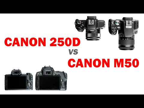 Видео: Обзор сравнение Canon 250D vs Canon M50