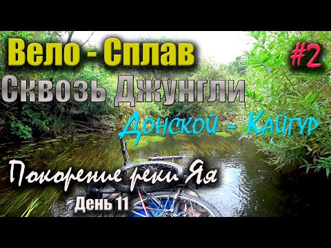 Видео: Одиночный сплав Донской - Кайгур по заросшей реке! Покорение реки Яя. Поход на четыре дня. 2 серия.