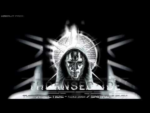 Видео: Thornsectide - Кожа змеи / Snake's skin / Dark electro