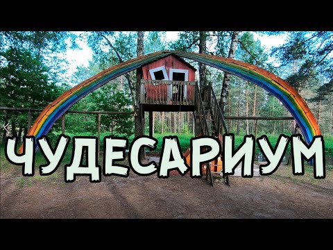 Видео: Чудесариум. Река Нерская