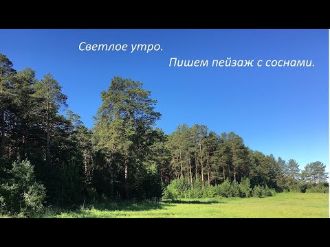 Видео: Светлое утро