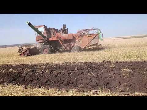 Видео: Сбор урожая 2025 часть 2 #механизатор #сельскоехозяйство 
