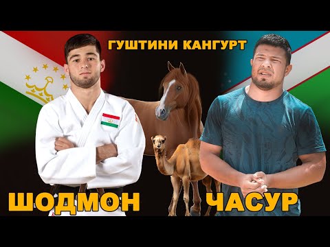 Видео: ШОДМОН ТОЧИК ВА ЧАСУР УЗБЕК ГУШТИНИ КАНГУРТ. GUSHTINI SHODMON & JASUR KURASH 2025