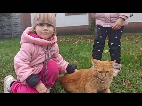 Видео: Орех её боялся😂Даже с прогулки можно принести что то полезное 