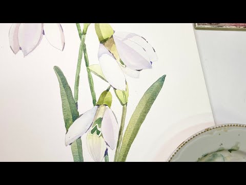 Видео: Урок по акварели для начинающих. Подснежник