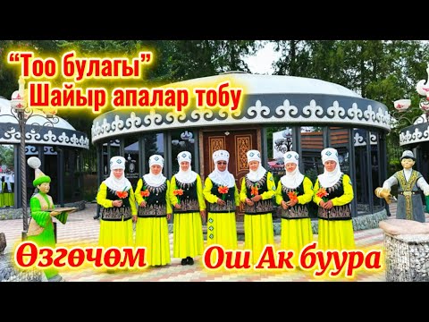 Видео: Өзгөчөм Тоо булагы шайыр апалар тобу Ош Ак буура паркы 2025