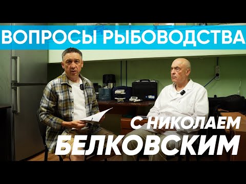 Видео: Вопросы рыбоводства с Николаем Михайловичем Белковским. #пруд #вопросы