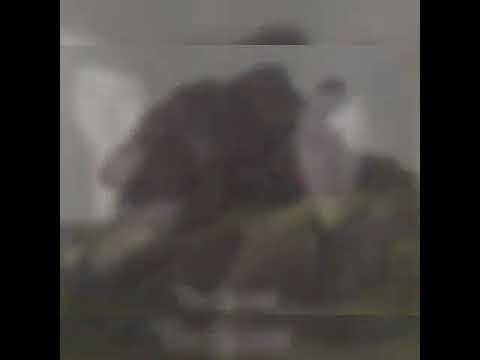 Видео: Тасбұлақ ОМ Түлектер 1990