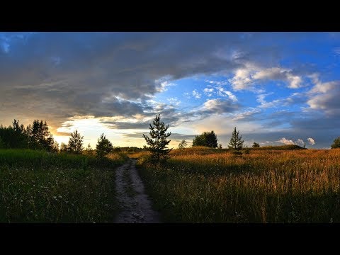 Видео: "КУДА, КУДА ВЫ УДАЛИЛИСЬ?"... (Фото Вяч. Зайцева (Волосово), Ария Ленского - Георгий Виноградов)