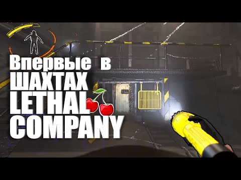 Видео: Впервые спустились в шахты 🍒 Lethal Company