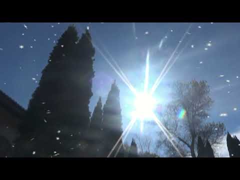 Видео: 50 жас