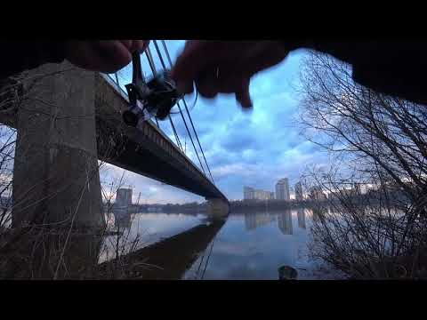Видео: Фидерная рыбалка в Киеве. левый берег Днепра.